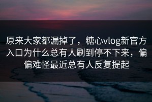 原来大家都漏掉了，糖心vlog新官方入口为什么总有人刷到停不下来，偏偏难怪最近总有人反复提起