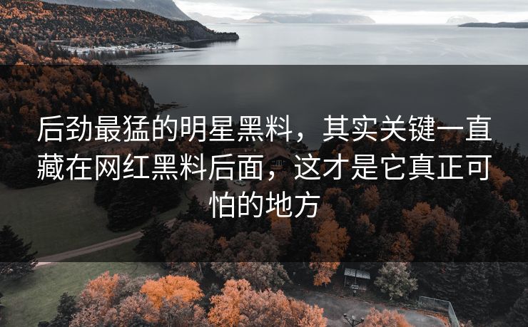 后劲最猛的明星黑料,其实关键一直藏在网红黑料后面,这才是它真正可怕的地方 后劲最猛的明星黑料,其实关键一直藏在网红黑料后面,这才是它真正可怕的地方