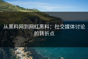 从黑料网到网红黑料：社交媒体讨论的转折点
