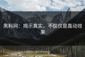 黑料网：揭示真实，不仅仅是轰动效果