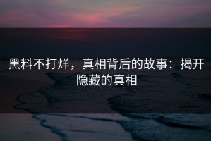 黑料不打烊，真相背后的故事：揭开隐藏的真相