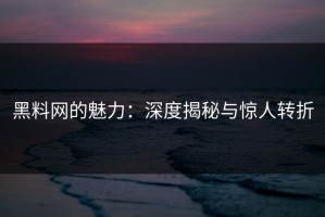 黑料网的魅力：深度揭秘与惊人转折