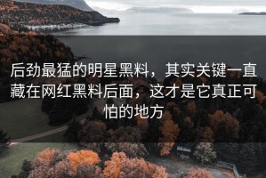 后劲最猛的明星黑料，其实关键一直藏在网红黑料后面，这才是它真正可怕的地方